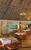 Туры в отель Grand Palladium Vallarta Resort & Spa - All Inclusive Туры в отель Grand Palladium Vallarta Resort & Spa - All Inclusive