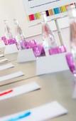 Туры в отель ibis Styles Melun Hotel Туры в отель ibis Styles Melun Hotel