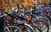 Туры в отель The Community - Siem Reap Туры в отель The Community - Siem Reap