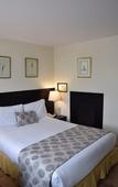 Туры в отель Hotel Saint Simon Туры в отель Hotel Saint Simon