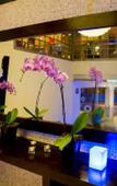 Туры в отель Casa Andina Premium Golf Los Incas Туры в отель Casa Andina Premium Golf Los Incas
