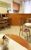 Туры в отель Hotel Zara Туры в отель Hotel Zara