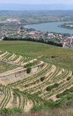 Туры в отель Novotel Valence Sud Туры в отель Novotel Valence Sud