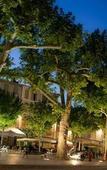 Туры в отель Novotel Valence Sud Туры в отель Novotel Valence Sud