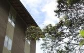 Туры в отель Casa Andina Standard Machu Picchu Туры в отель Casa Andina Standard Machu Picchu