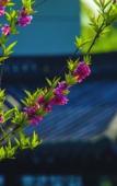 Туры в отель West Lake State Guesthouse Туры в отель West Lake State Guesthouse