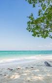Туры в отель The Sevenseas Resort Туры в отель The Sevenseas Resort