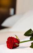 Туры в отель Mercure Le Mans Centre Туры в отель Mercure Le Mans Centre
