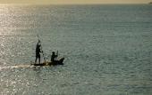 Туры в отель Avani Pemba Beach Hotel Туры в отель Avani Pemba Beach Hotel