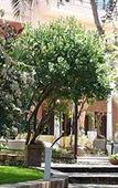 Туры в отель Park Hotel San Michele Туры в отель Park Hotel San Michele