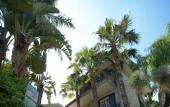 Туры в отель Hotel Borgo Verde Туры в отель Hotel Borgo Verde