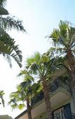 Туры в отель Hotel Borgo Verde Туры в отель Hotel Borgo Verde