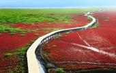 Туры в отель Holiday Inn PANJIN AQUA CITY by IHG Туры в отель Holiday Inn PANJIN AQUA CITY by IHG