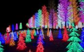 Туры в отель Wyndham Garden i-City Shah Alam Туры в отель Wyndham Garden i-City Shah Alam