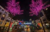 Туры в отель Wyndham Garden i-City Shah Alam Туры в отель Wyndham Garden i-City Shah Alam