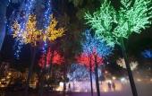 Туры в отель Wyndham Garden i-City Shah Alam Туры в отель Wyndham Garden i-City Shah Alam