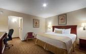 Туры в отель Inn on Storrs Туры в отель Inn on Storrs