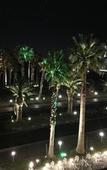 Туры в отель Uni Hotel Jeju Туры в отель Uni Hotel Jeju