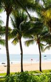 Туры в отель Riviera Deluxe Cam Ranh Aqua Park Resort Туры в отель Riviera Deluxe Cam Ranh Aqua Park Resort