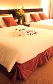 Туры в отель The Guest Hotel & Spa Туры в отель The Guest Hotel & Spa