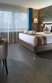 Туры в отель Mercure Bale Mulhouse Aeroport Туры в отель Mercure Bale Mulhouse Aeroport