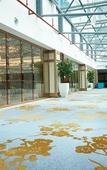 Туры в отель Dorsett Putrajaya Туры в отель Dorsett Putrajaya