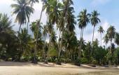 Туры в отель Dusita Resort Kohkood Туры в отель Dusita Resort Kohkood