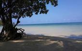 Туры в отель Dusita Resort Kohkood Туры в отель Dusita Resort Kohkood
