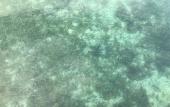 Туры в отель Dusita Resort Kohkood Туры в отель Dusita Resort Kohkood