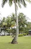 Туры в отель Dusita Resort Kohkood Туры в отель Dusita Resort Kohkood