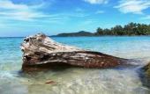 Туры в отель Dusita Resort Kohkood Туры в отель Dusita Resort Kohkood