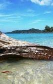 Туры в отель Dusita Resort Kohkood Туры в отель Dusita Resort Kohkood