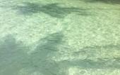 Туры в отель Dusita Resort Kohkood Туры в отель Dusita Resort Kohkood