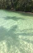 Туры в отель Dusita Resort Kohkood Туры в отель Dusita Resort Kohkood