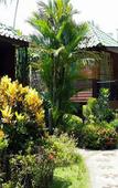 Туры в отель Dusita Resort Kohkood Туры в отель Dusita Resort Kohkood