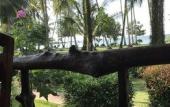 Туры в отель Dusita Resort Kohkood Туры в отель Dusita Resort Kohkood