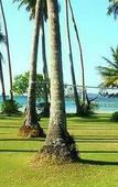 Туры в отель Dusita Resort Kohkood Туры в отель Dusita Resort Kohkood