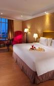 Туры в отель Adimulia Hotel Medan Туры в отель Adimulia Hotel Medan