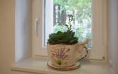 Туры в отель Balatura The Fine Bed & Breakfast Туры в отель Balatura The Fine Bed & Breakfast