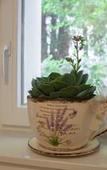 Туры в отель Balatura The Fine Bed & Breakfast Туры в отель Balatura The Fine Bed & Breakfast