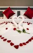 Туры в отель Villa Baron Hotel Туры в отель Villa Baron Hotel