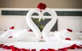 Туры в отель Villa Baron Hotel Туры в отель Villa Baron Hotel