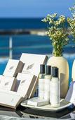 Туры в отель Augila Hotel Jeju Oceano Suites Туры в отель Augila Hotel Jeju Oceano Suites