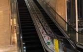 Туры в отель Jinyi International Hotel Туры в отель Jinyi International Hotel