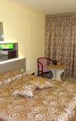 Туры в отель Victoria Hotel Туры в отель Victoria Hotel