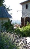 Туры в отель B&B La Fonte del Machiavelli Туры в отель B&B La Fonte del Machiavelli