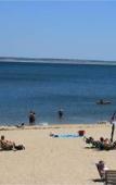 Туры в отель The Provincetown Inn Туры в отель The Provincetown Inn