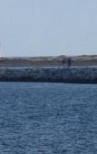 Туры в отель The Provincetown Inn Туры в отель The Provincetown Inn