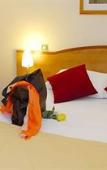 Туры в отель Continental Hotel Туры в отель Continental Hotel