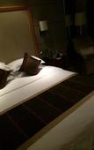 Туры в отель Garden International Hotel Туры в отель Garden International Hotel